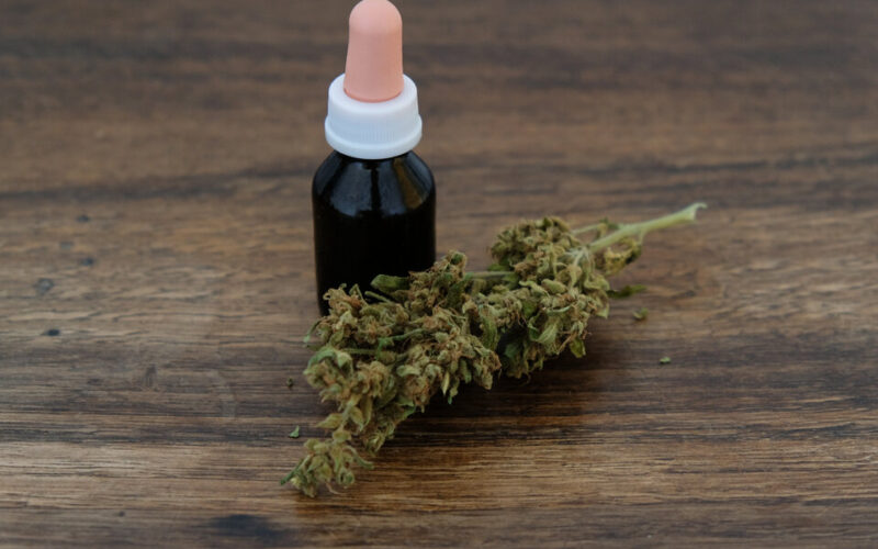 Cannabis medicinal en Argentina: todo lo que tenés que saber