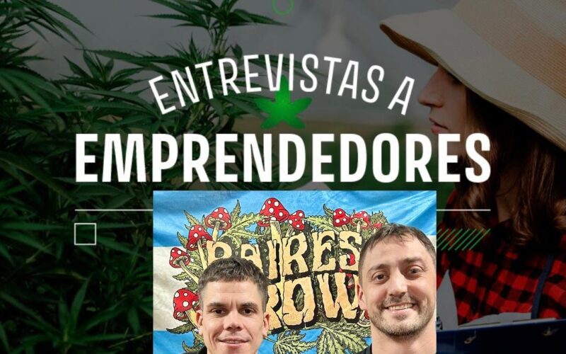 Entrevistas al sector cannabico