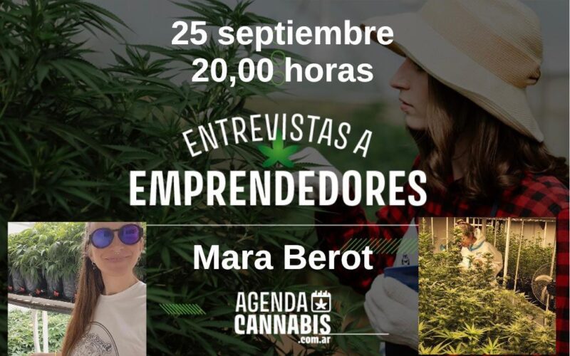 Ciclo de entrevistas