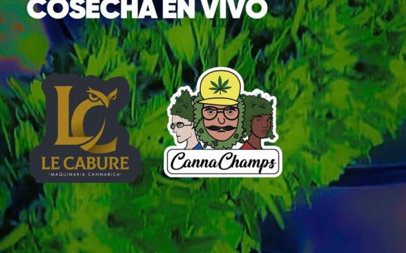 El evento del año