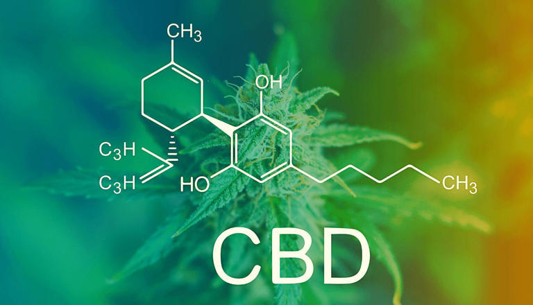 ¿Qué es el aceite de CBD?