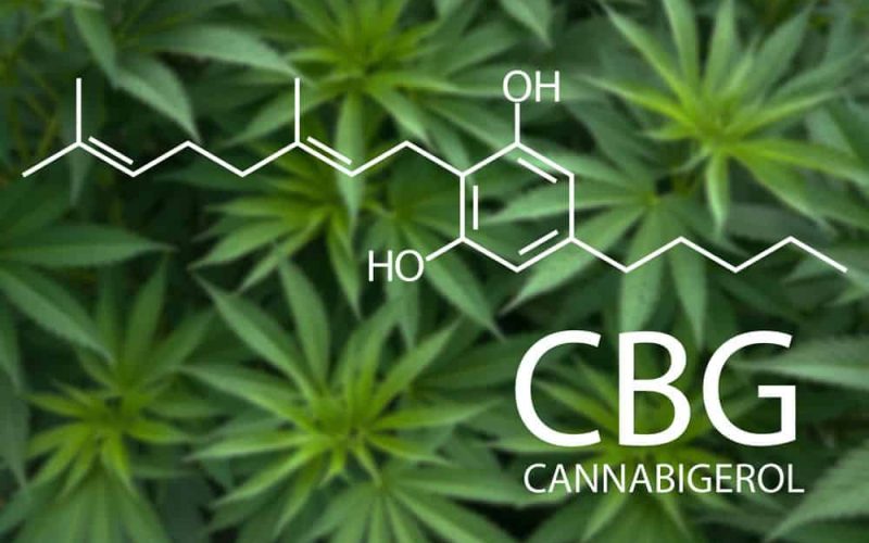 CBG entra en la nueva cadena de valor en la industria cannabis