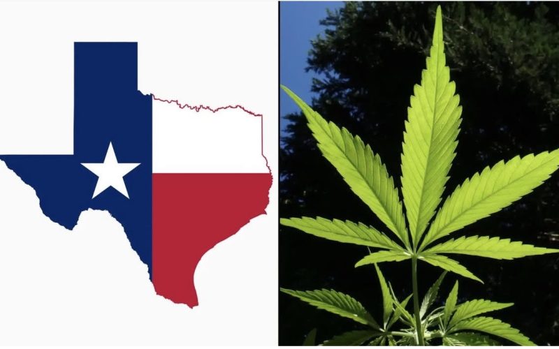 Texas estados Unidos busca liberar la Maria