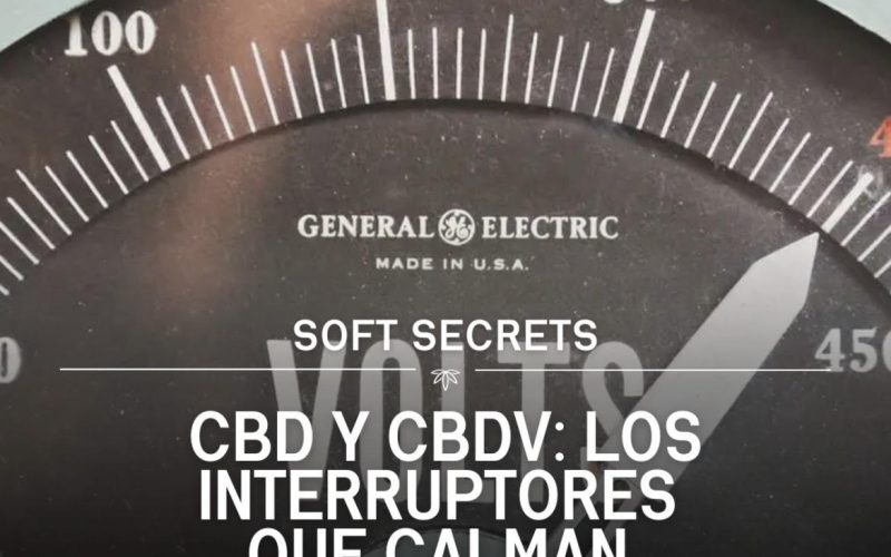 CBD Y CBDV