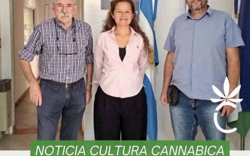 INTA y la cultura cannabica