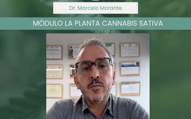 Marcelo Morante