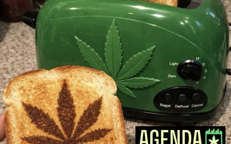 Cannabis 100% pasión