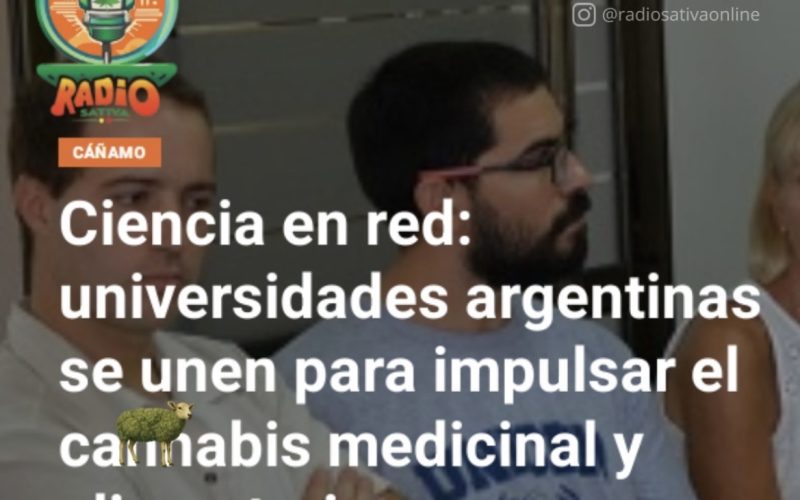 Universidades y el Cannabis