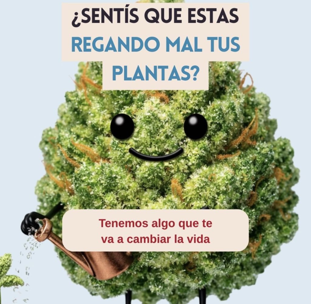 Como sentís el cultivo