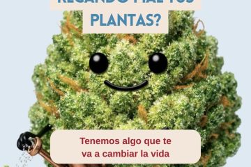 Como sentís el cultivo