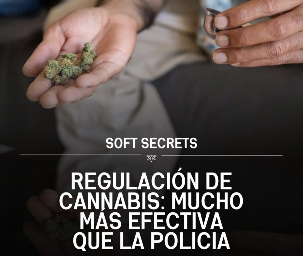 Seguridad en el cultivo