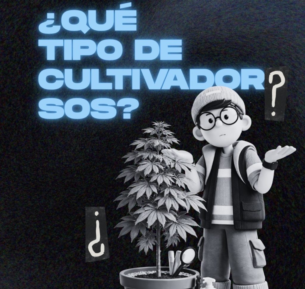 Identificación cannabis