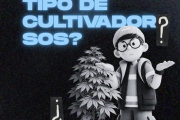 Identificación cannabis