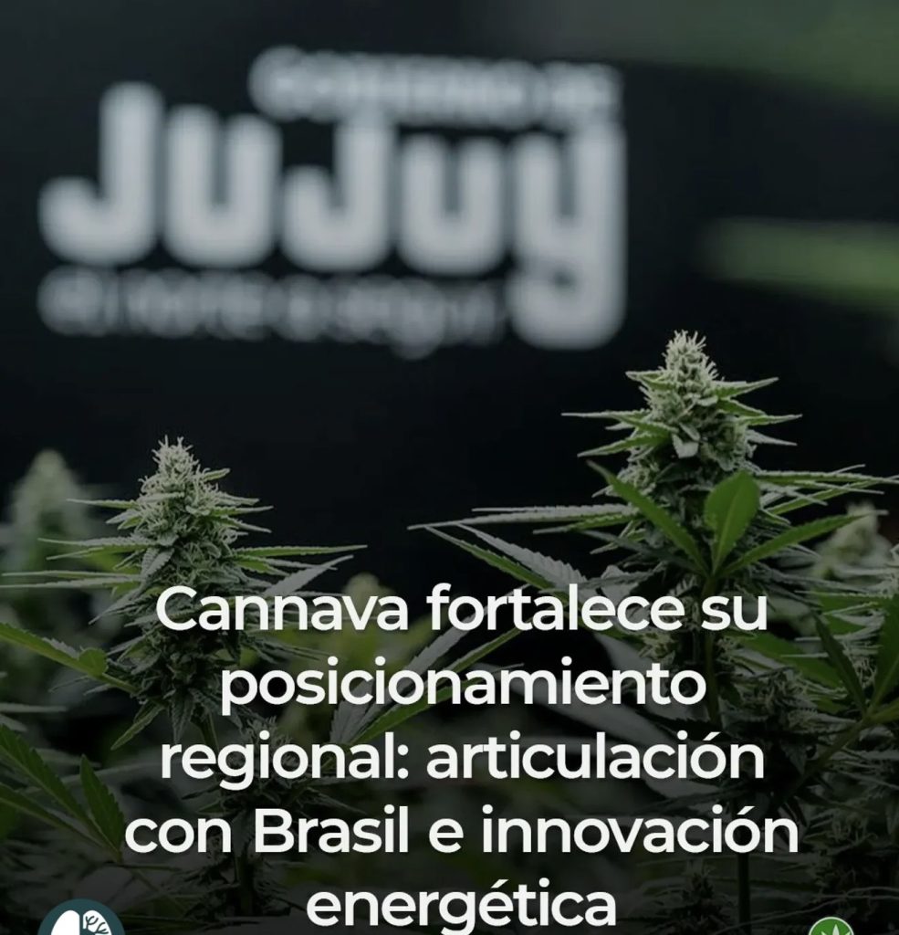 Cannava y Brasil
