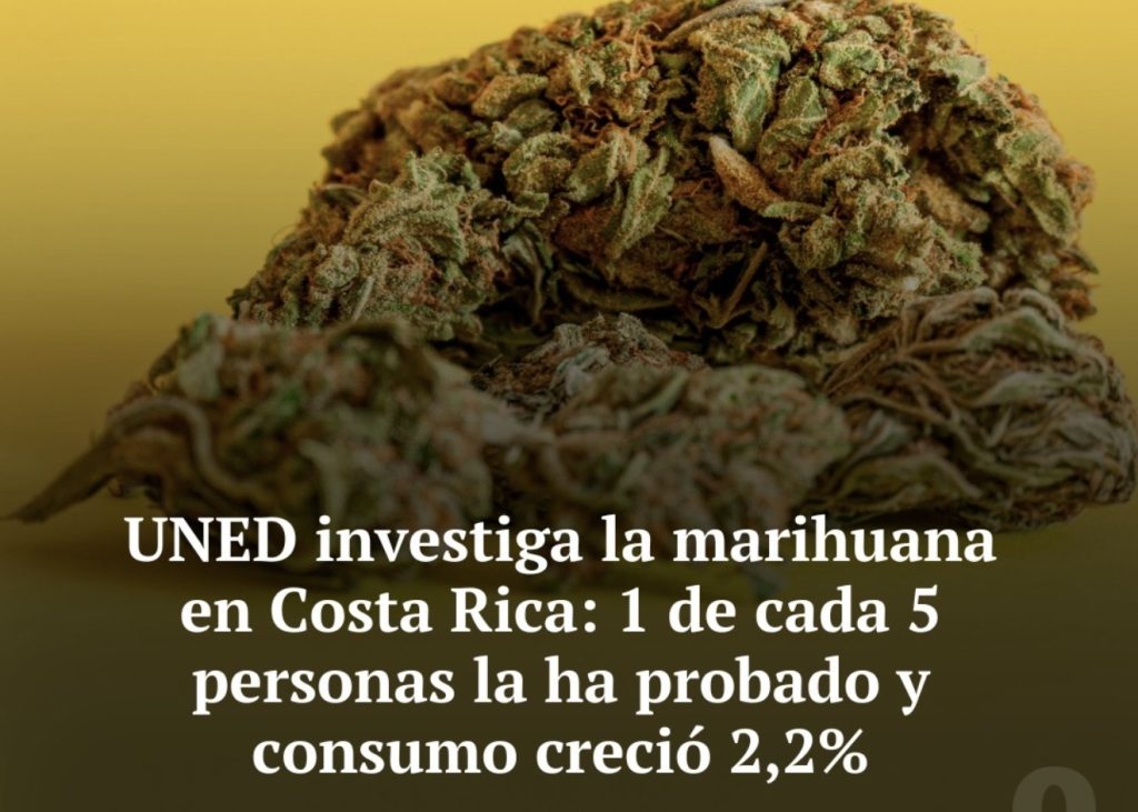 Costa Rica y el cannabis