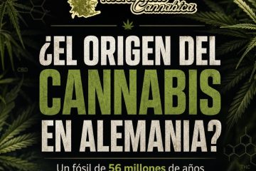 Cannabis en Alemania