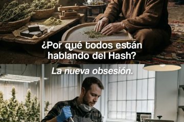 Hasch