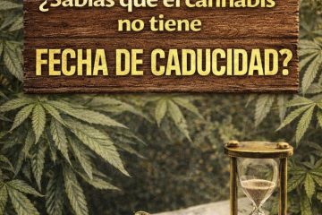 Cannabis sin caducidad