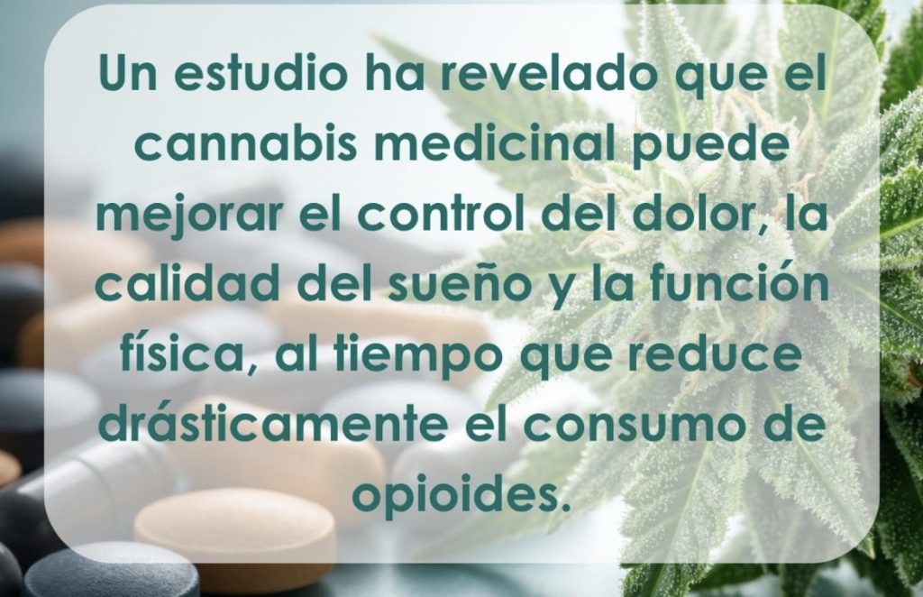 Cannabis para los dolores