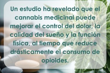 Cannabis para los dolores