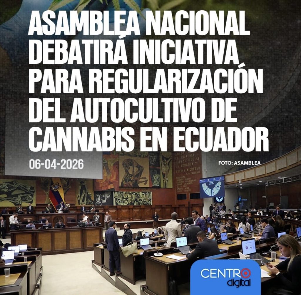 Ecuador y el cannabis