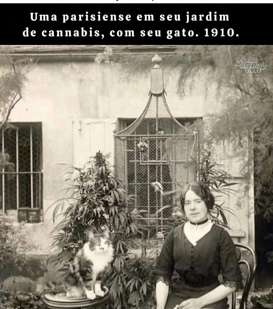 Francia 1910 y el cannabis