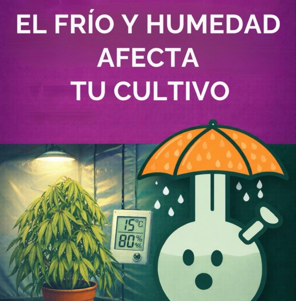 El frio y la humedad