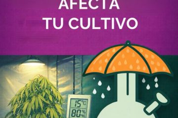 El frio y la humedad