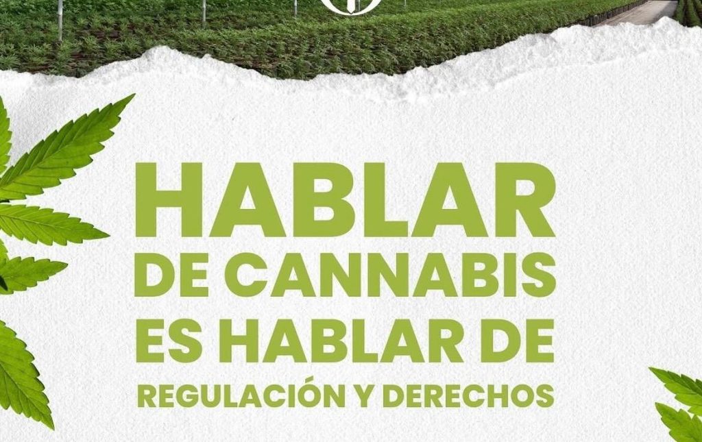 Cannabis y la regulacion