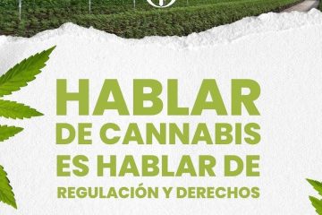 Cannabis y la regulacion