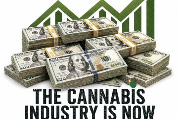 Estados Unidos record de cannabis