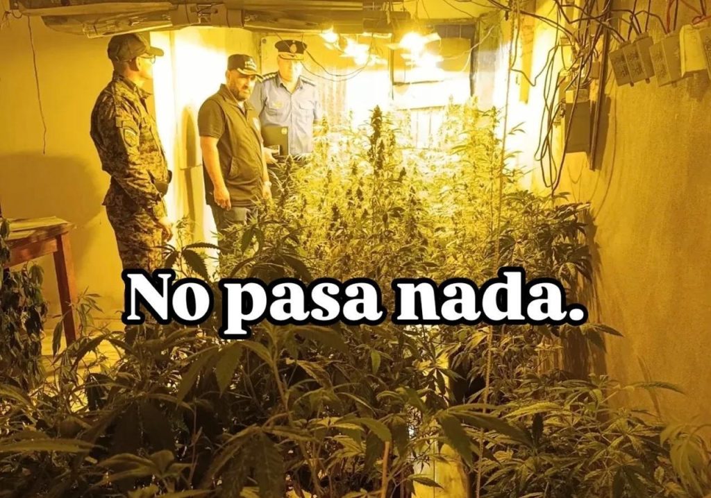Legalidad en el cannabis