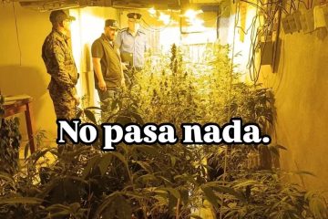 Legalidad en el cannabis