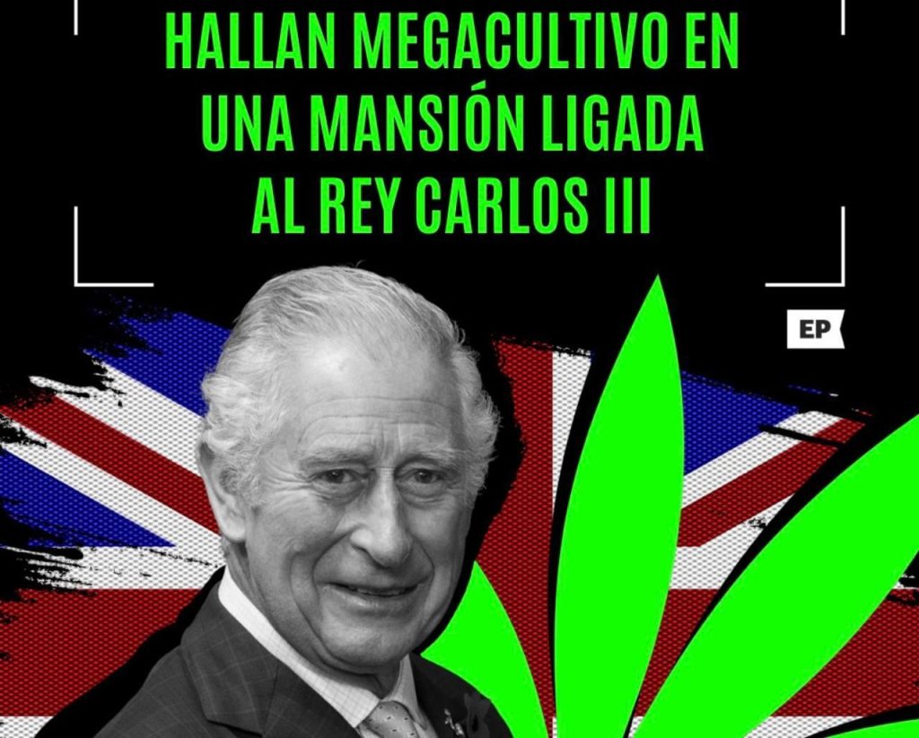REY Carlos y el cannabis