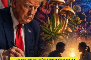 Psicodelicos y salud mental