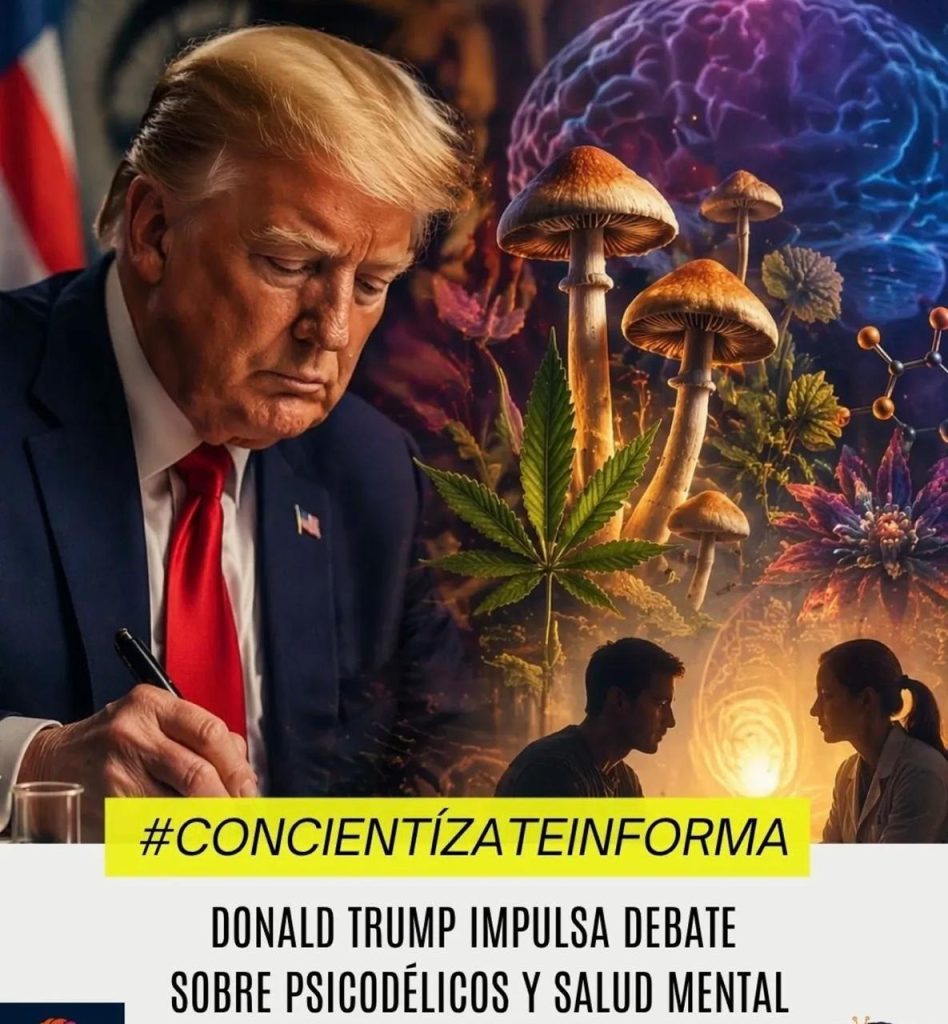 Psicodelicos y salud mental