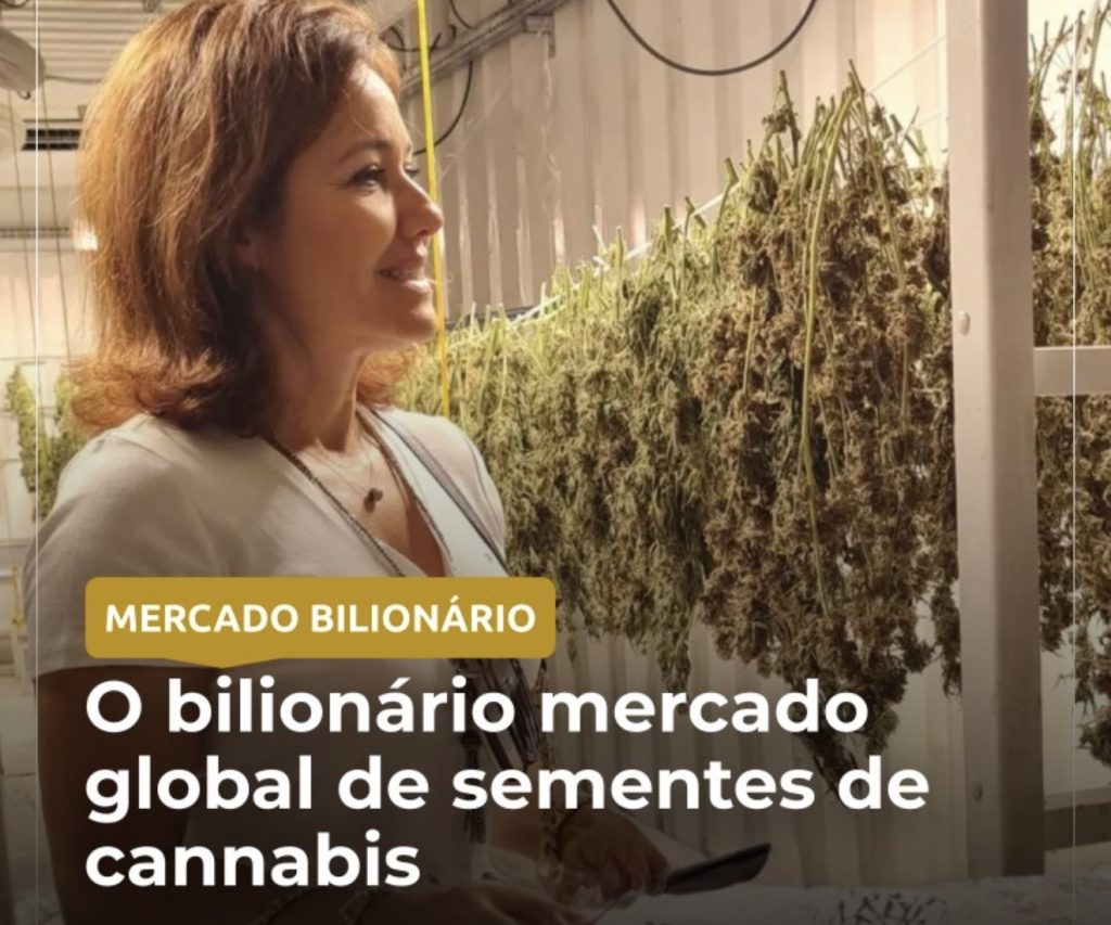 Semillas de cannabis