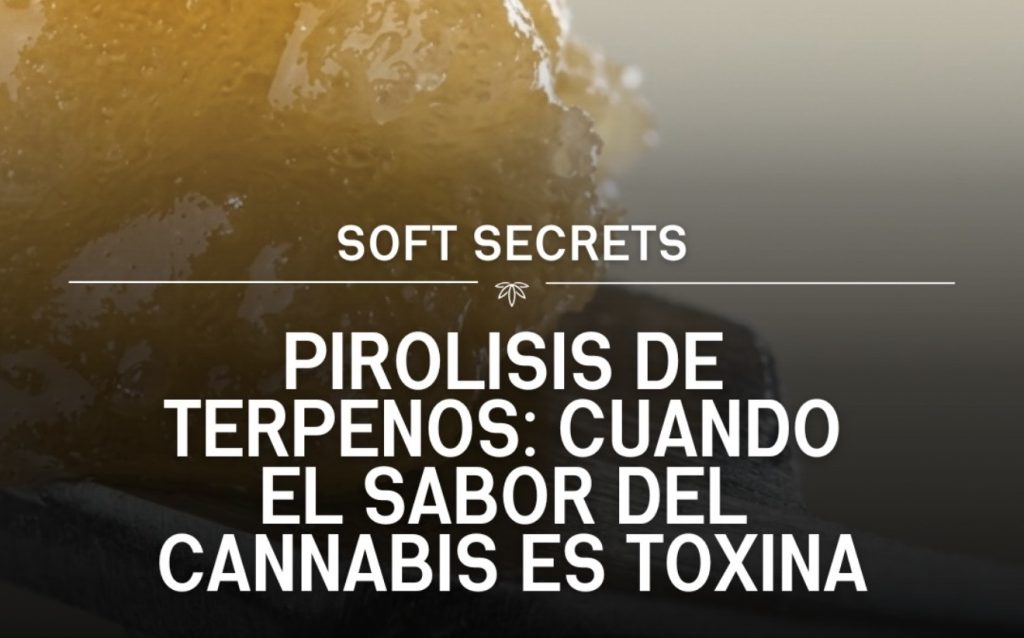 Pirolisis de terpenos cannabis