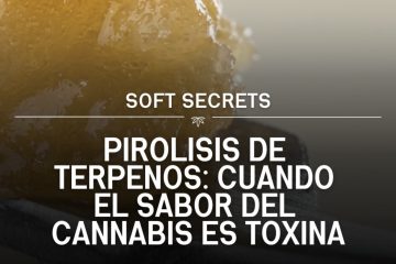 Pirolisis de terpenos cannabis