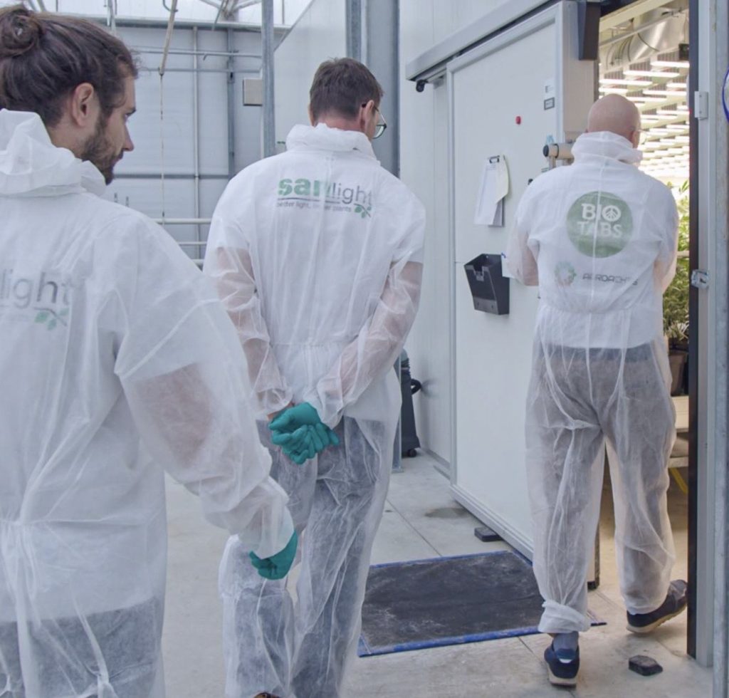 Cannabis mas inversión