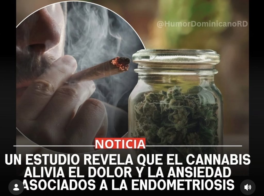 Cannabis y dolor