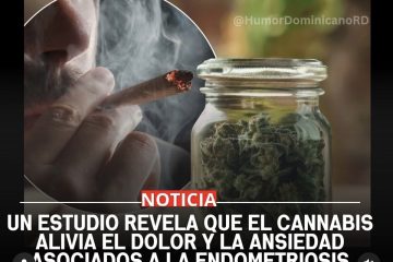 Cannabis y dolor