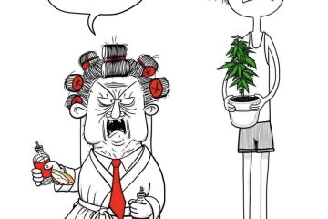 Cannabis marca una nueva época