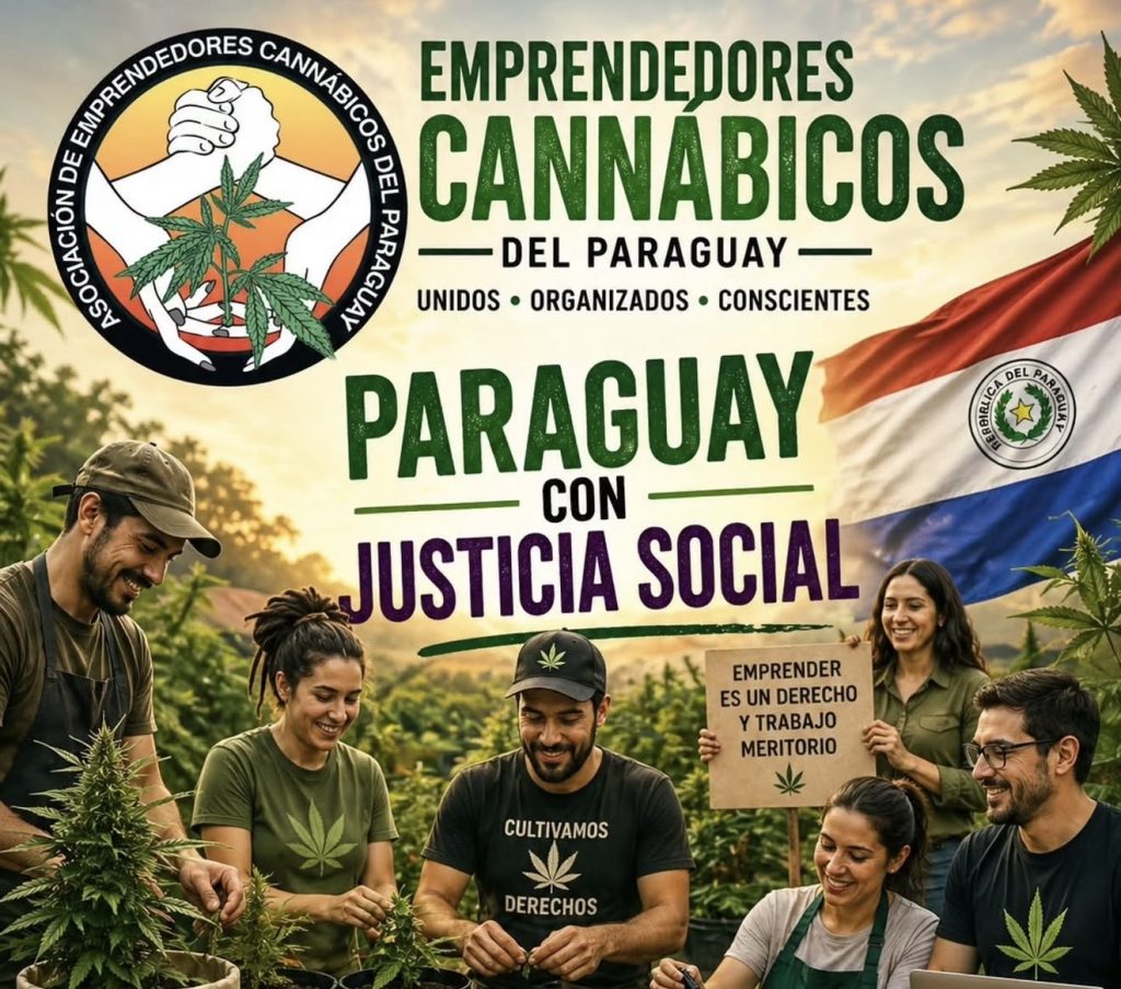 Paraguay crece el cannabis