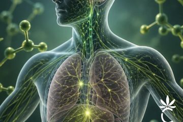 El Humano y el cannabis