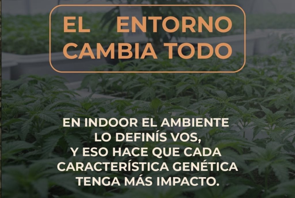 Cultivos personalizados