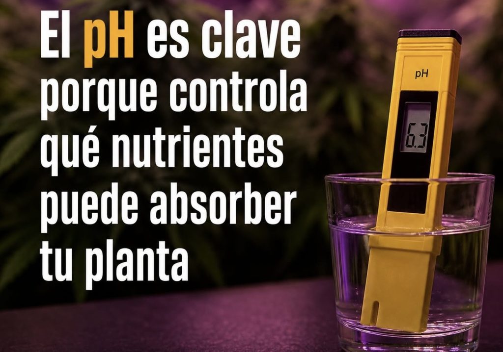 PH en el cultivo