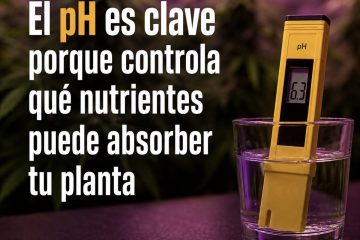 PH en el cultivo