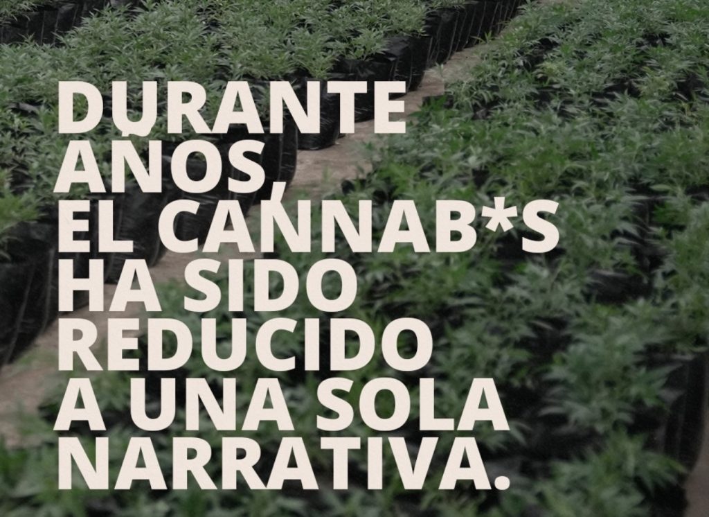 Cánnabis un cambio de época