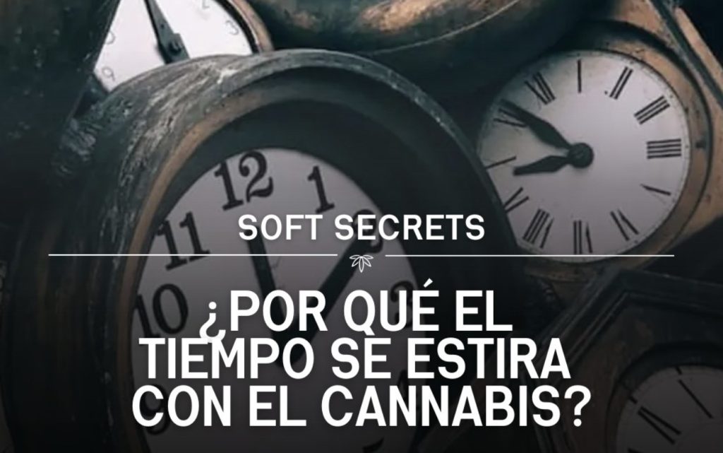 Cannabis y el tiempo
